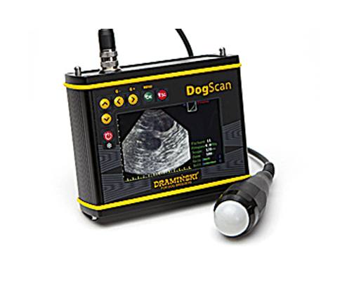 Máy siêu âm thai chó DogScan